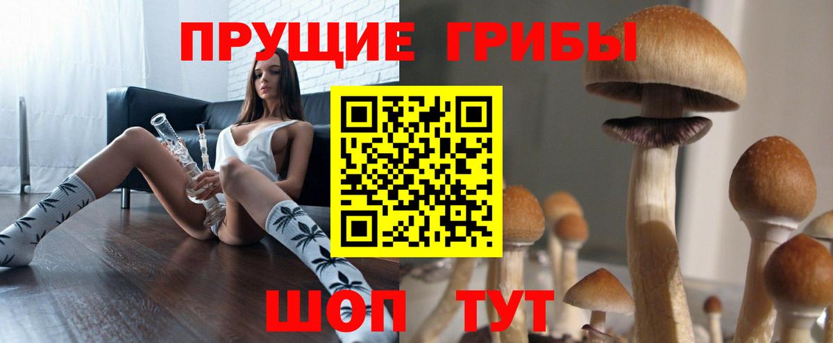 Псилоцибиновые грибы GOLDEN TEACHER  Вход с VPN  Рыбинск 